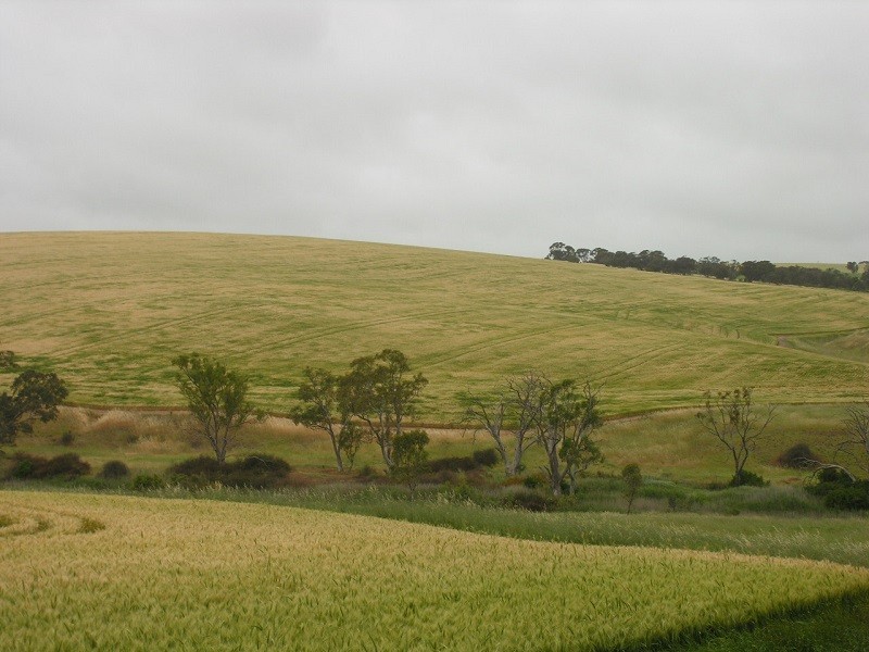 16 South Street, Hamley Bridge SA 5401