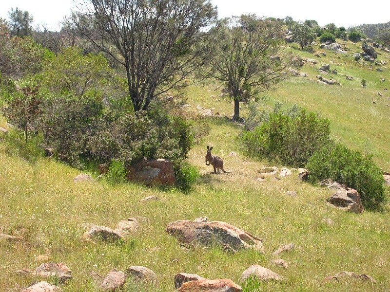 707 Jutland Road, Springton SA 5235