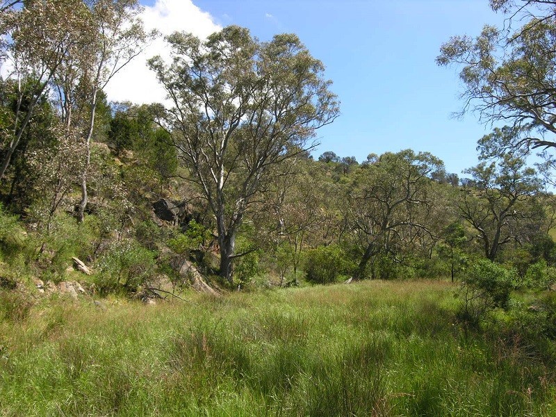 707 Jutland Road, Springton SA 5235