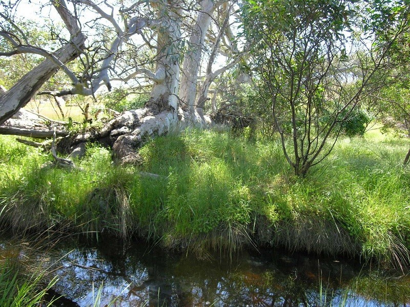 707 Jutland Road, Springton SA 5235