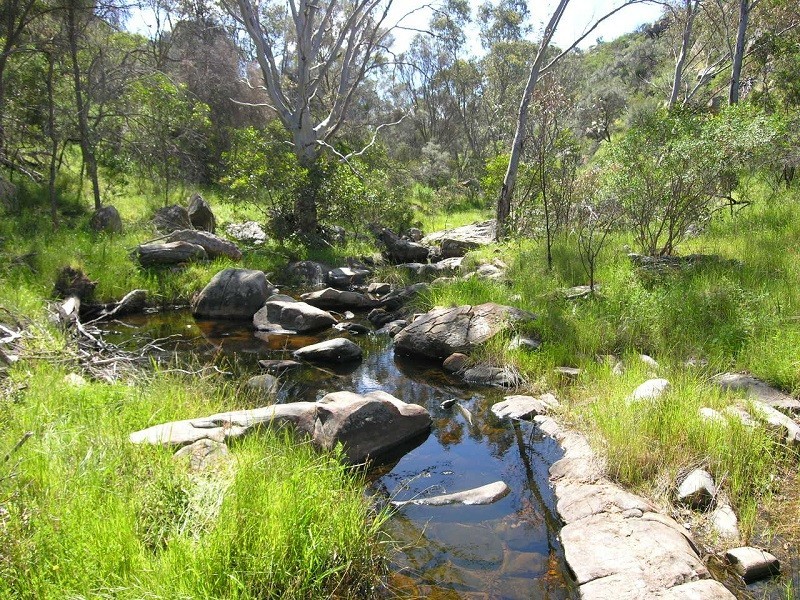 707 Jutland Road, Springton SA 5235