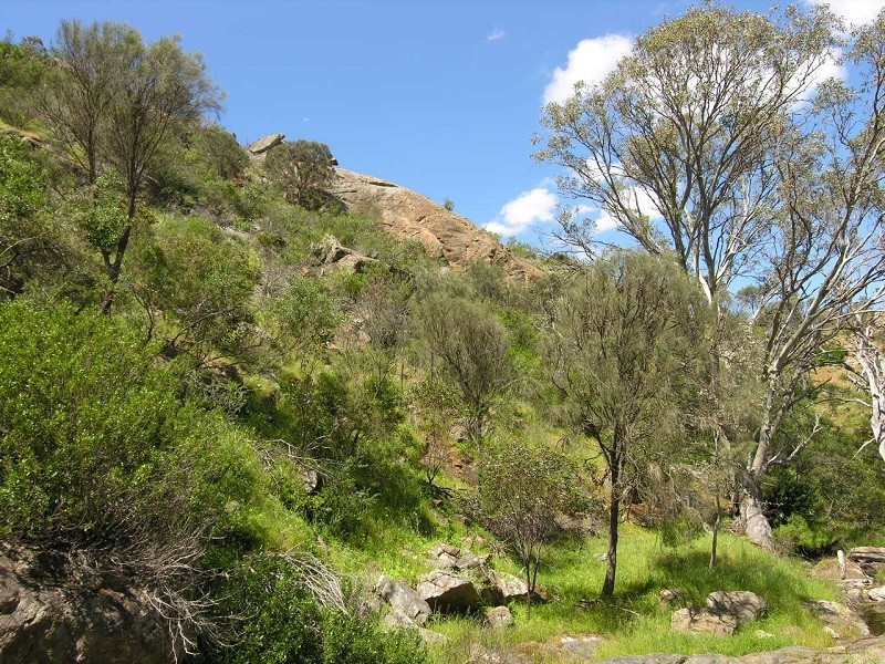 707 Jutland Road, Springton SA 5235