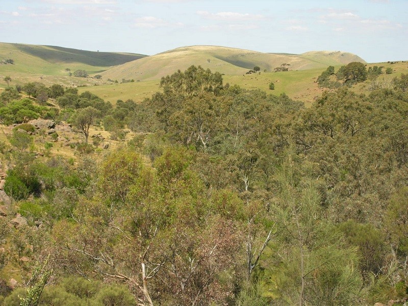 707 Jutland Road, Springton SA 5235