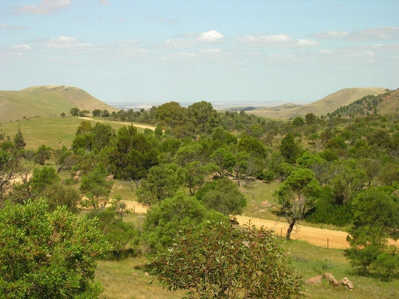 707 Jutland Road, Springton SA 5235