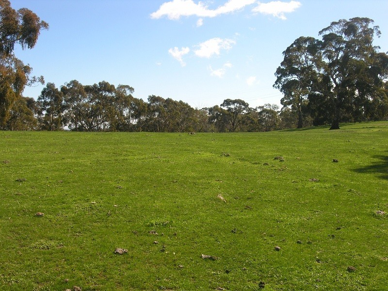 Section 1675 Kellys Hill Road, Humbug Scrub SA 5114