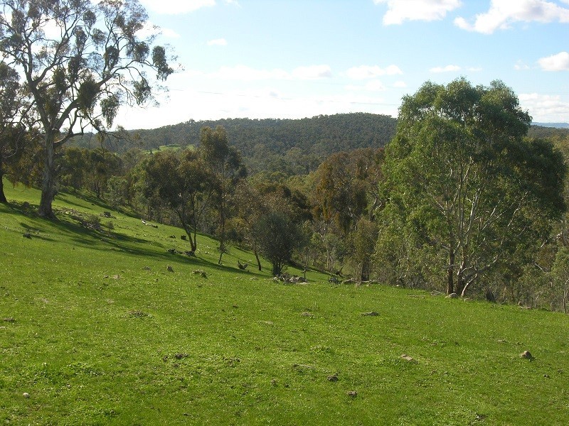 Section 1675 Kellys Hill Road, Humbug Scrub SA 5114