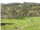 Section 1675 Kellys Hill Road, Humbug Scrub SA 5114