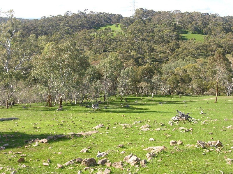 Section 1675 Kellys Hill Road, Humbug Scrub SA 5114