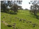 Section 1675 Kellys Hill Road, Humbug Scrub SA 5114