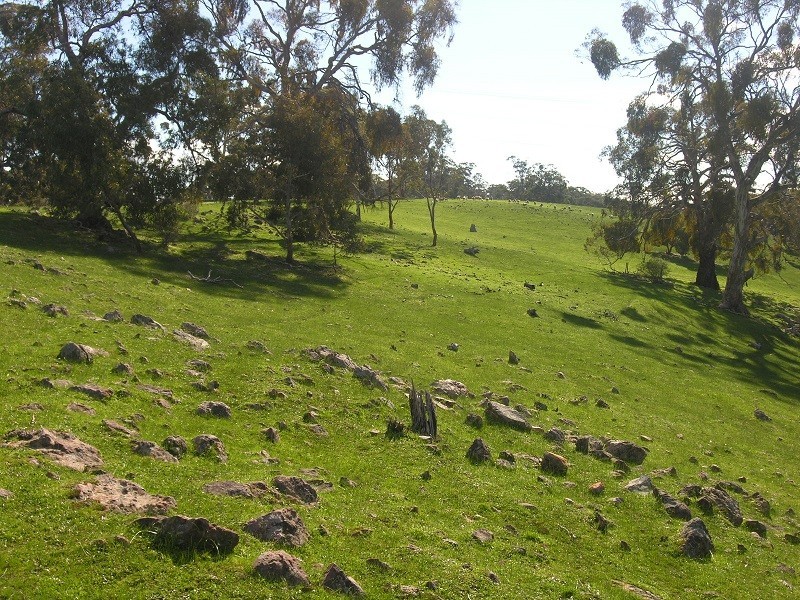 Section 1675 Kellys Hill Road, Humbug Scrub SA 5114