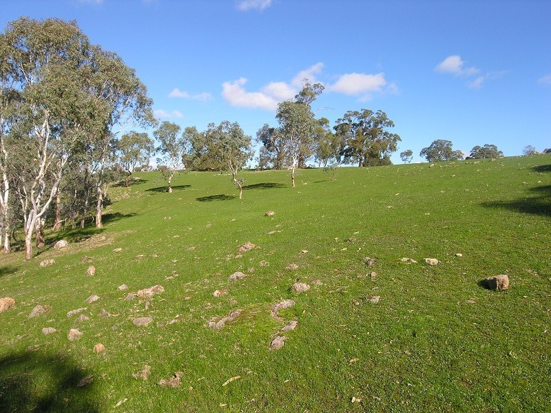 Section 1675 Kellys Hill Road, Humbug Scrub SA 5114
