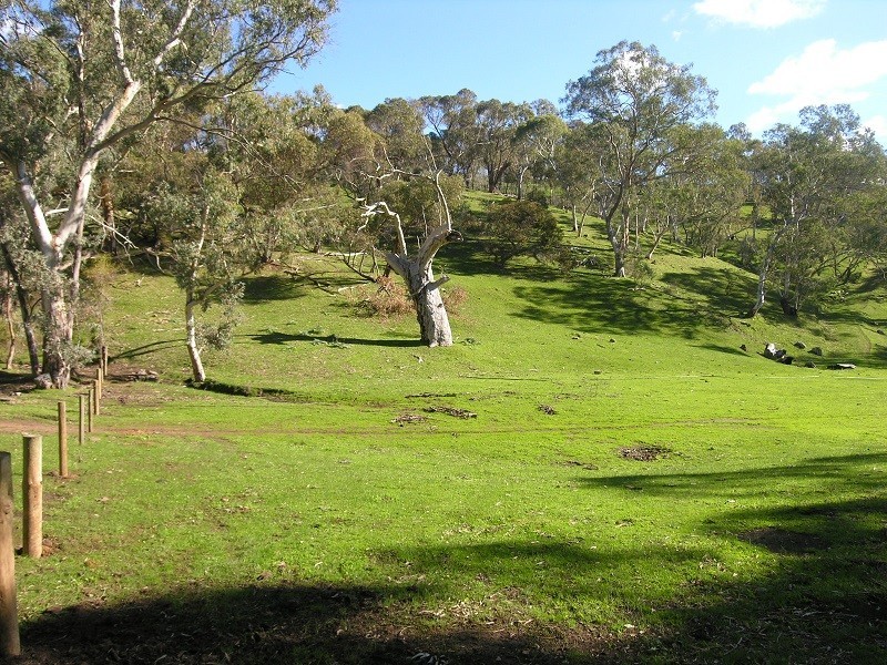 Section 1675 Kellys Hill Road, Humbug Scrub SA 5114