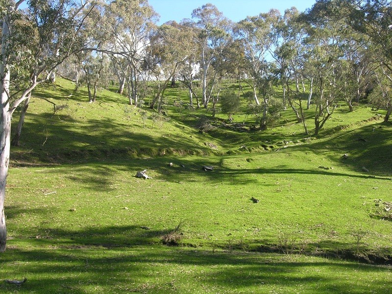 Section 1675 Kellys Hill Road, Humbug Scrub SA 5114