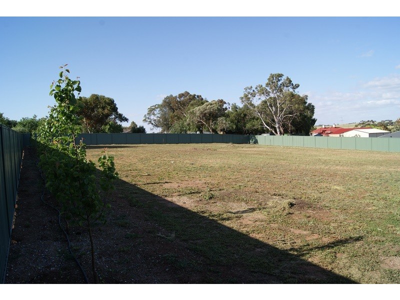 Lot 3 Peacock Avenue, Gawler East SA 5118