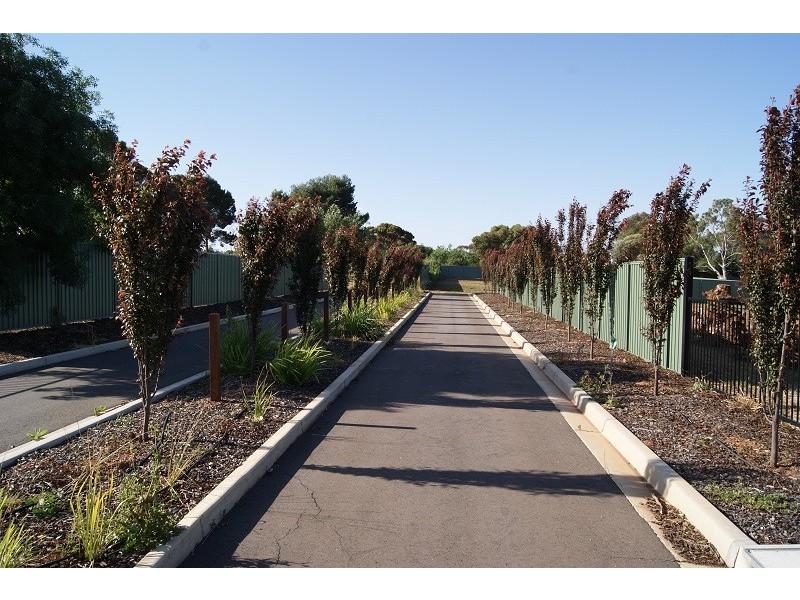 Lot 3 Peacock Avenue, Gawler East SA 5118