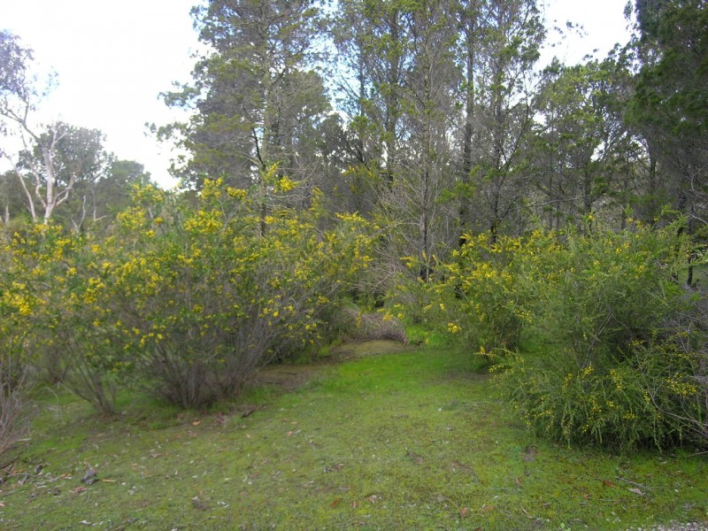 Lot 51 Knott Road, Williamstown SA 5351