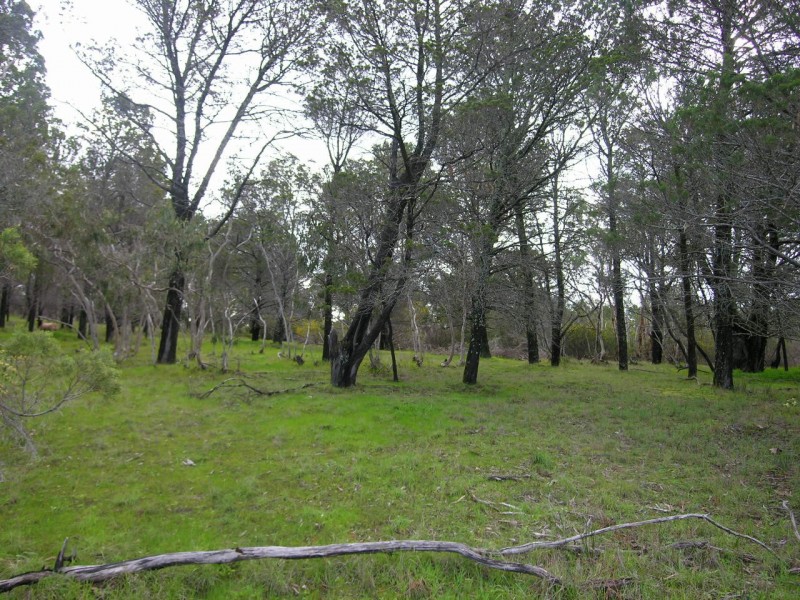 Lot 51 Knott Road, Williamstown SA 5351