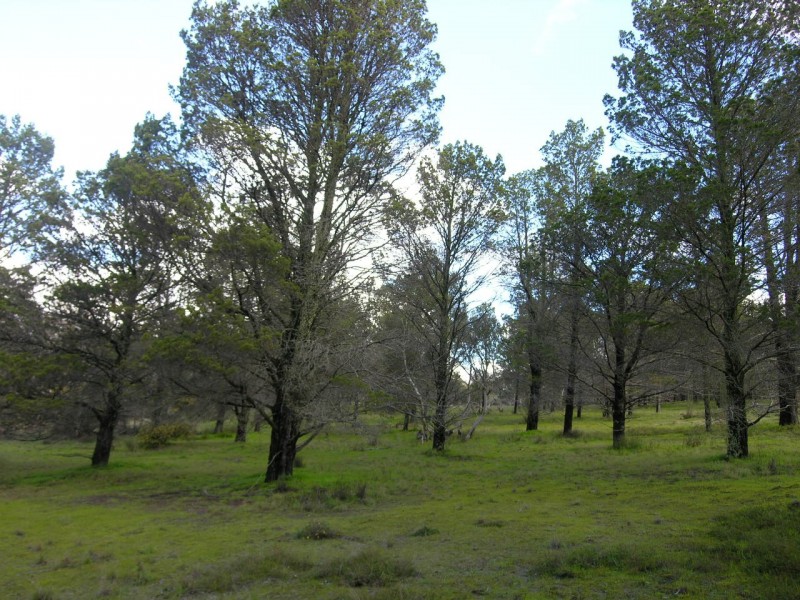 Lot 52 Knott Road, Williamstown SA 5351