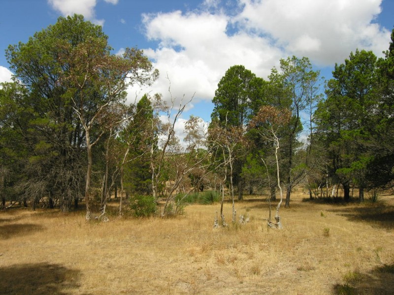 Lot 52 Knott Road, Williamstown SA 5351