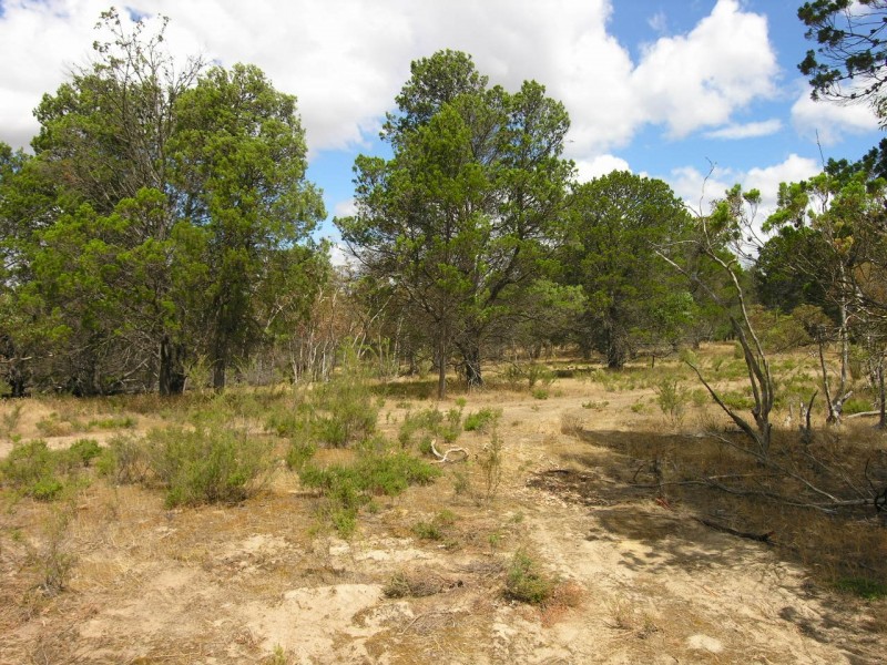 Lot 52 Knott Road, Williamstown SA 5351
