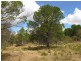 Lot 52 Knott Road, Williamstown SA 5351