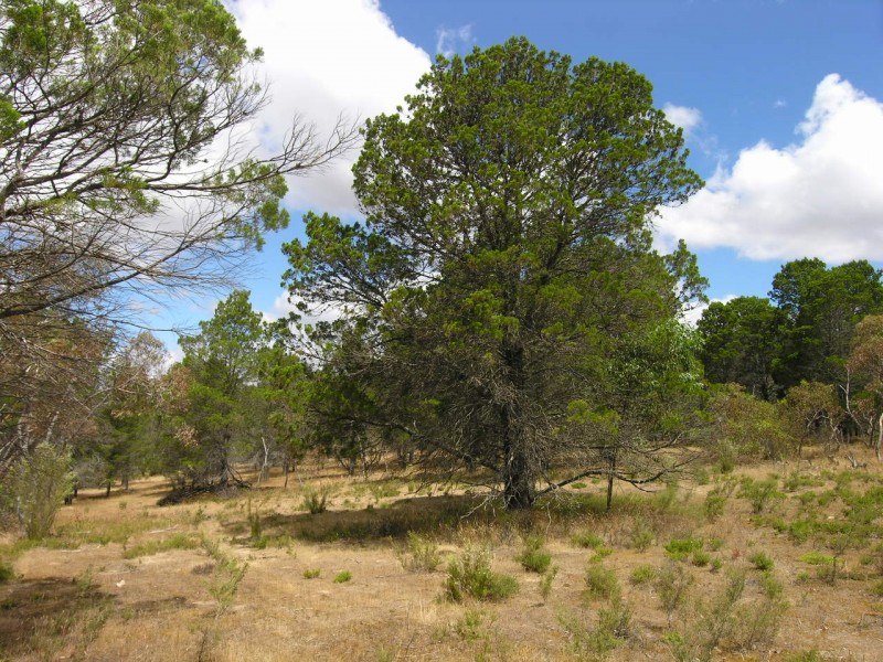 Lot 52 Knott Road, Williamstown SA 5351