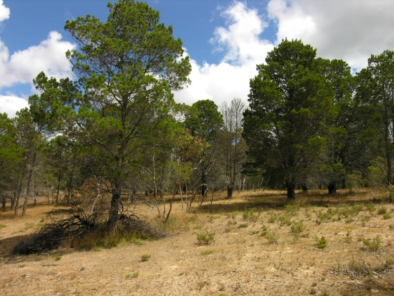 Lot 52 Knott Road, Williamstown SA 5351