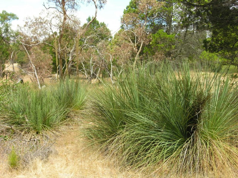 Lot 52 Knott Road, Williamstown SA 5351