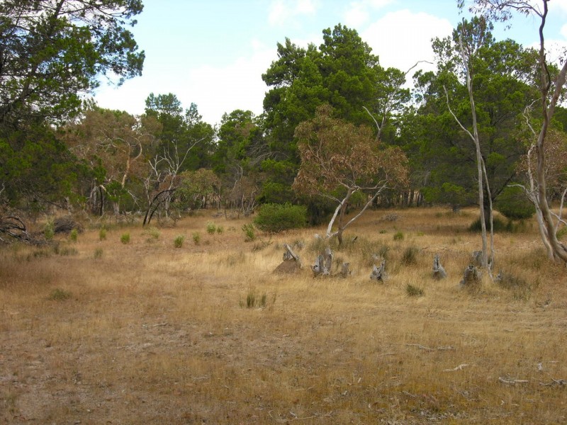 Lot 52 Knott Road, Williamstown SA 5351