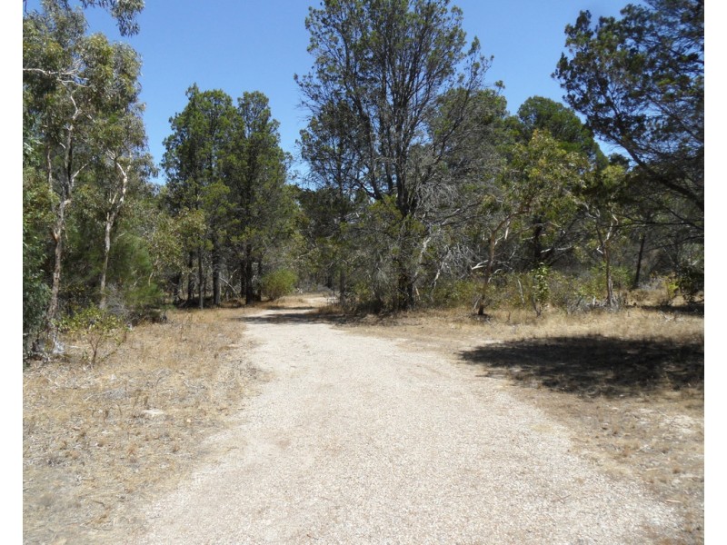 Lot 53 Knott Road, Williamstown SA 5351