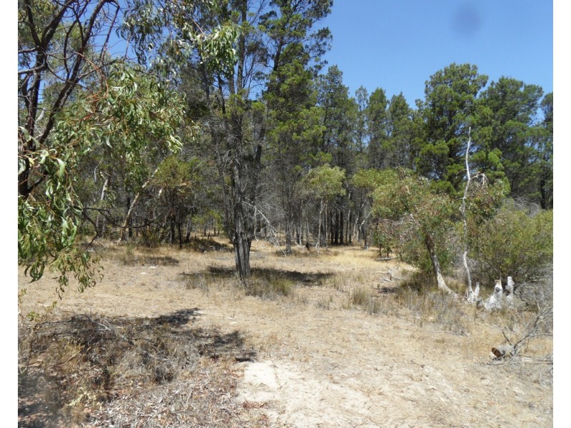 Lot 53 Knott Road, Williamstown SA 5351