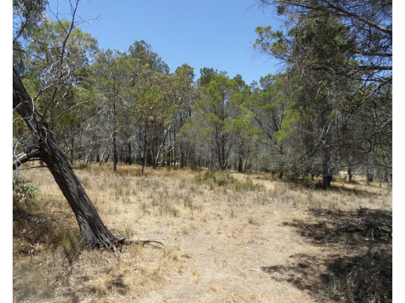 Lot 53 Knott Road, Williamstown SA 5351