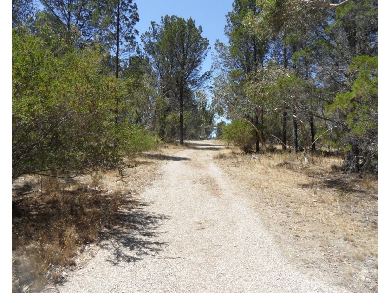 Lot 53 Knott Road, Williamstown SA 5351
