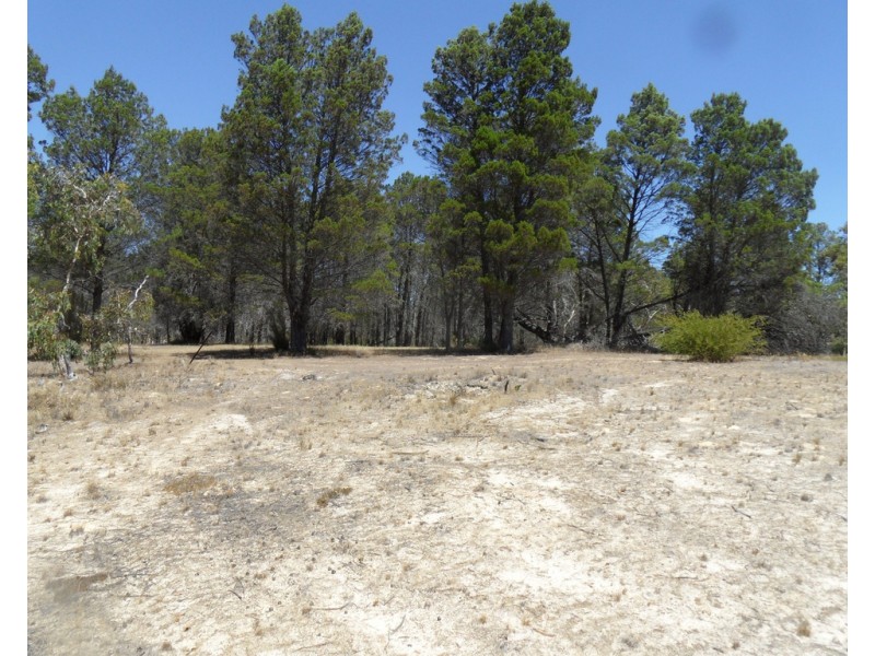 Lot 53 Knott Road, Williamstown SA 5351