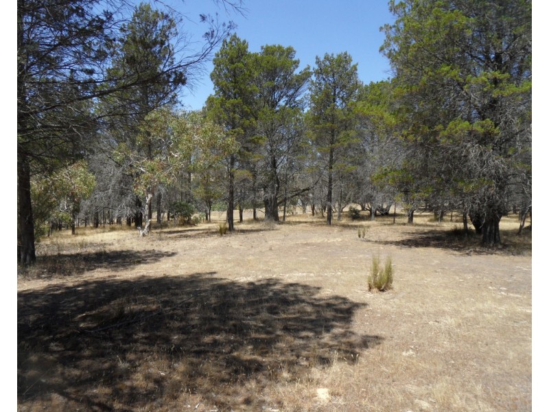 Lot 53 Knott Road, Williamstown SA 5351