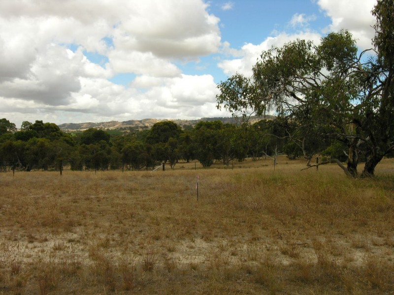 Lot 54 Knott Road, Williamstown SA 5351