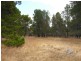 Lot 54 Knott Road, Williamstown SA 5351