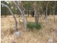 Lot 54 Knott Road, Williamstown SA 5351