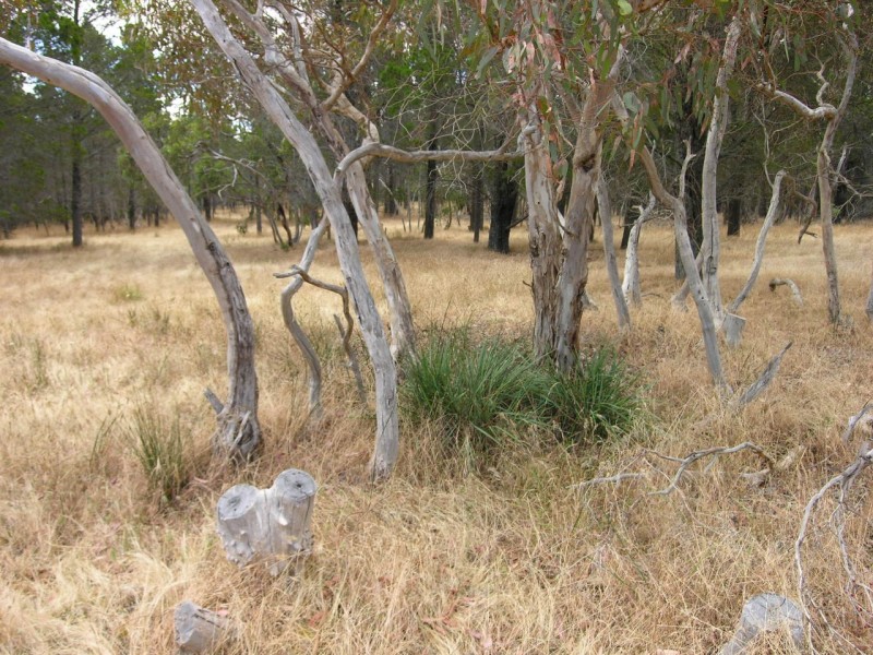 Lot 54 Knott Road, Williamstown SA 5351