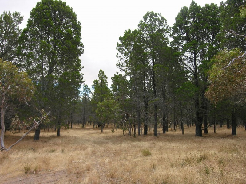 Lot 54 Knott Road, Williamstown SA 5351
