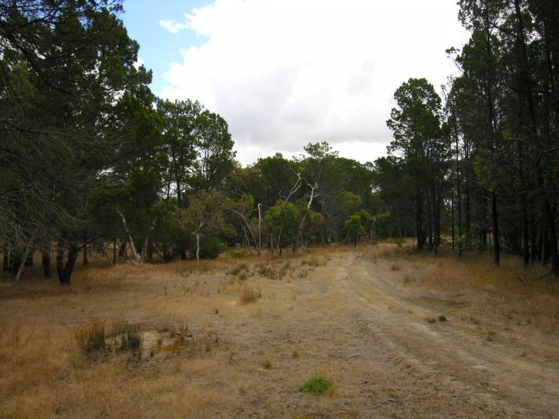 Lot 54 Knott Road, Williamstown SA 5351
