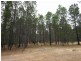 Lot 54 Knott Road, Williamstown SA 5351