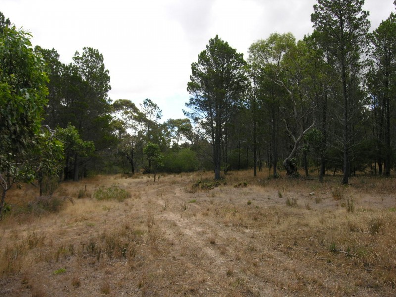 Lot 54 Knott Road, Williamstown SA 5351