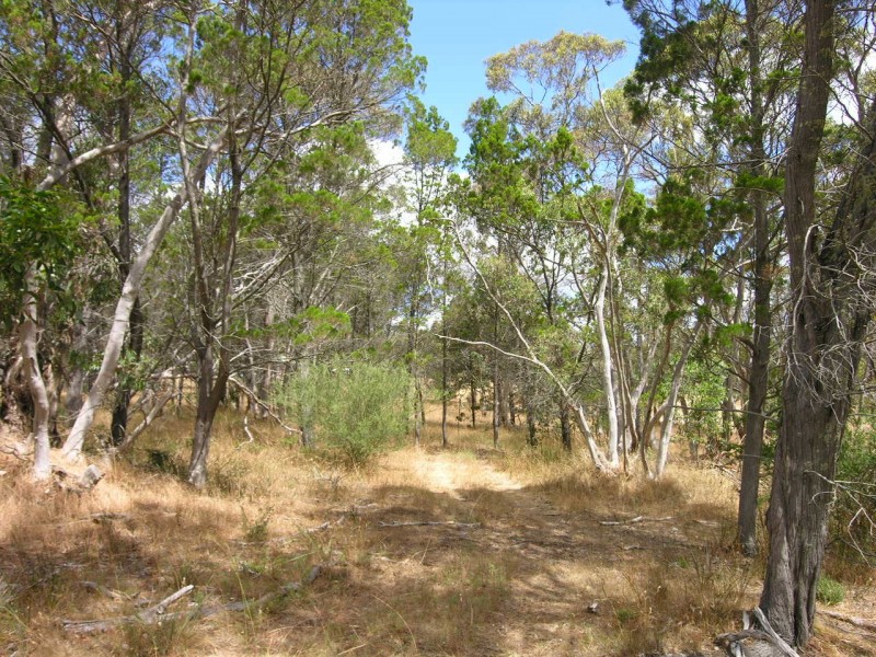 Lot 54 Knott Road, Williamstown SA 5351