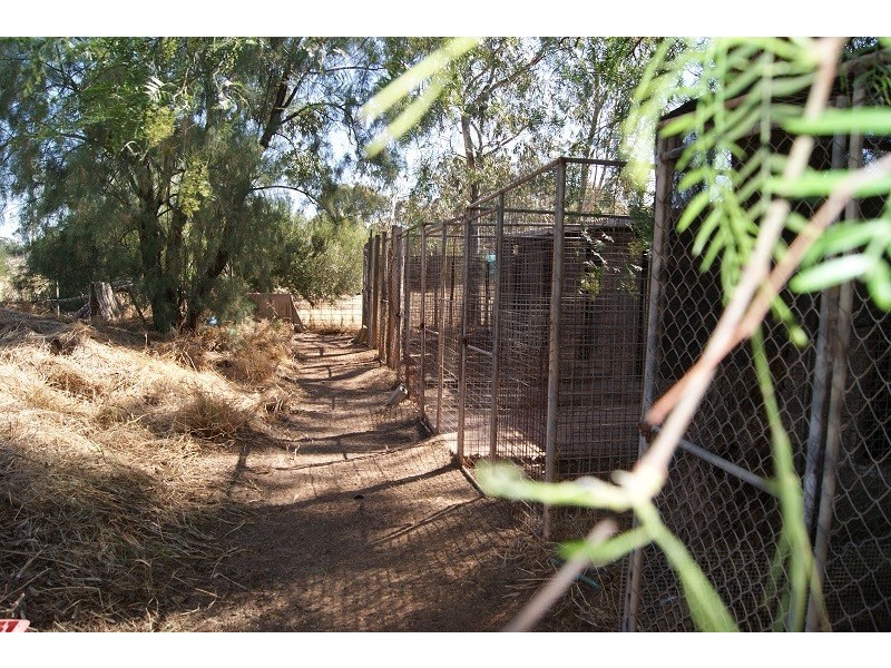 122 Athol Road, Kudla SA 5115