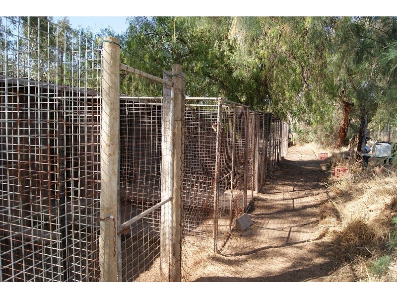 122 Athol Road, Kudla SA 5115