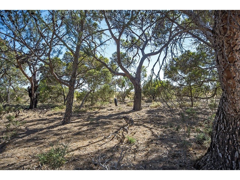 9 School House Road, Lower Light SA 5501