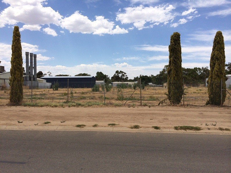 3 Paxton Street, Willaston SA 5118