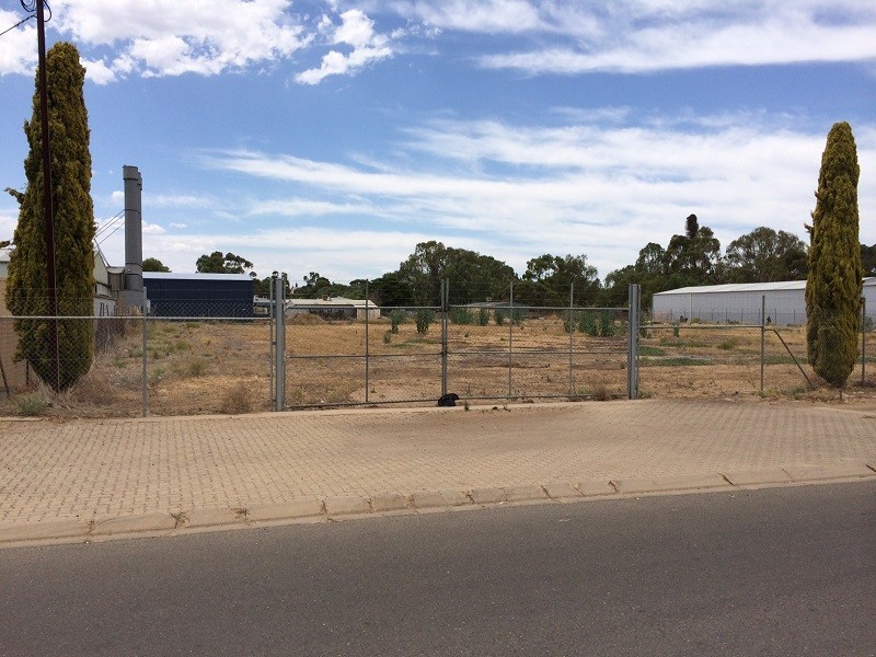 3 Paxton Street, Willaston SA 5118