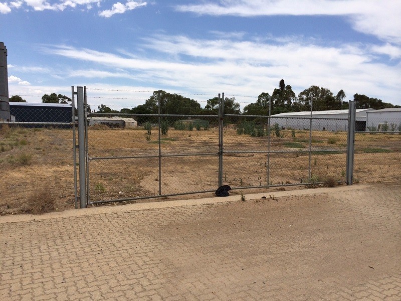 3 Paxton Street, Willaston SA 5118